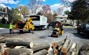 Best Commercial Tree Services  in South Creek, WA